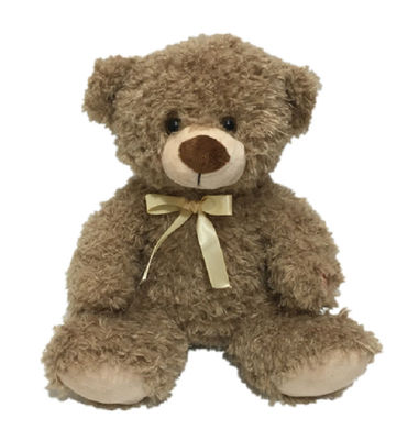 Peluche a 11,8 pollici Toy Teddy Bear Stuffed Animal di funzione educativa LED