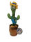 Registrazione della peluche che ripete il cactus di canto con il cappello