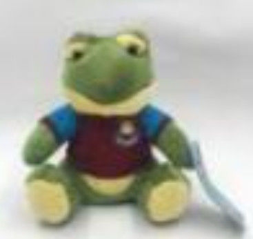 Animali contabilità elettromagnetica di Toy Frog And Toad Stuffed del ricordo di Team Frog 20cm