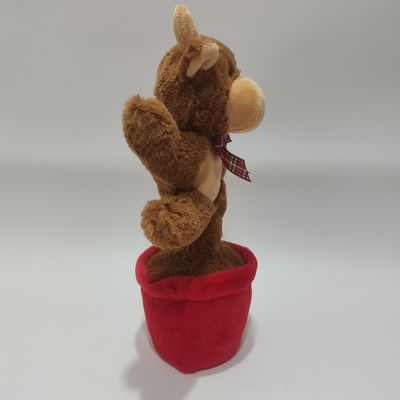 Una mucca di montagna che canta e balla