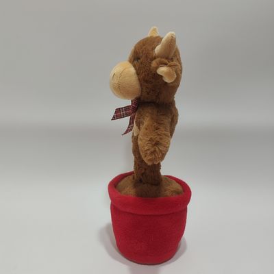 Una mucca di montagna che canta e balla