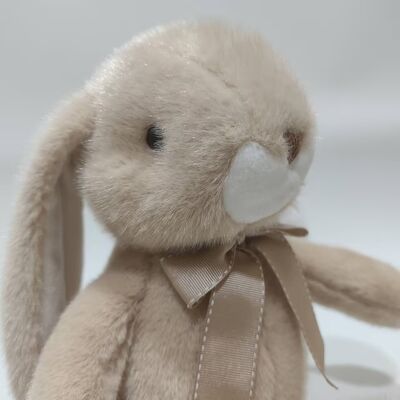 2 Assorted Sitting Lop-Ear Rabbit Plush Toys Soft & Cute Stuffed Bunny per bambino