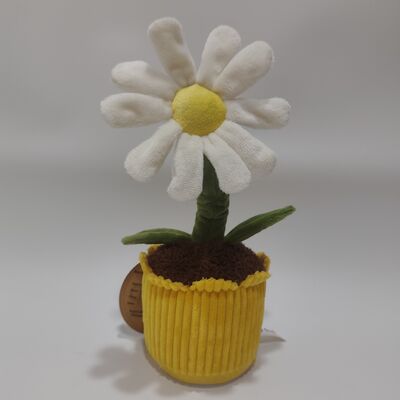Registrazione e Rolling Daisy Plush Toy