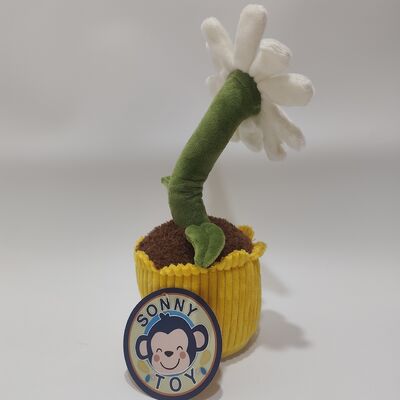 Registrazione e Rolling Daisy Plush Toy