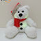 Natale LED che accende l'orso della peluche con il giocattolo della peluche dei bambini dell'orso di Santa Hat Kids Gift LED