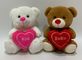 20 cm2 di ASSTD hanno farcito gli orsi con i regali adorabili dei giocattoli del cuore per il San Valentino